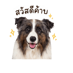 Call me Latte_20260428090411