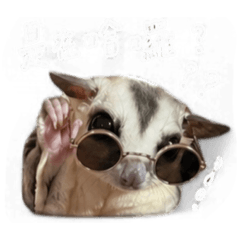 嗨啾日常生活