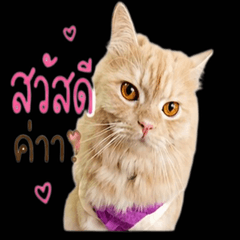 Meetang-Thung
