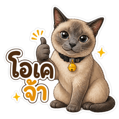 [HB] Shiro - Daily Chat