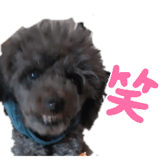 mikami_20260501080912