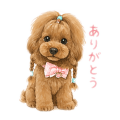 cilcil.hiroko_20260501082555