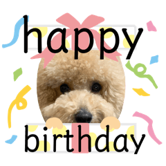 chiho_20260501082726