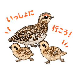 kin_20260501082747
