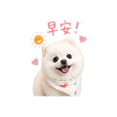 貪吃博美歐露露Lulu 可愛日常