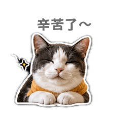 Quorry 表情包