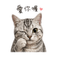 喵喵情侶篇