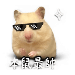 小布丁♡可愛篇
