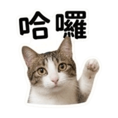 劉俊榮