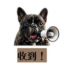 軍中用語（法鬥-賓賓）