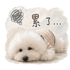 Rong_20260427023534