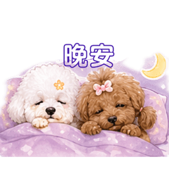 臭豆腐vs金針菇