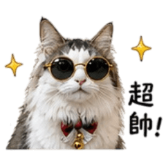 頑皮麻糬