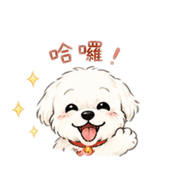 馬爾濟斯寶寶的日常