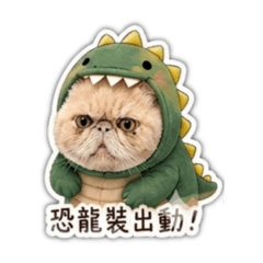 妮妮第一集