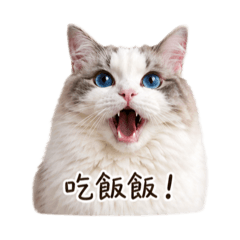 TIETIE日常