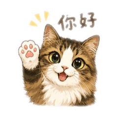 毛仔咕嚕嚕