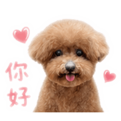 饅頭陪你聊天