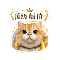 萌貓小虎01