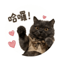 安啾日常用語