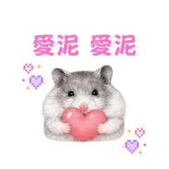 是芝芝ㄚ