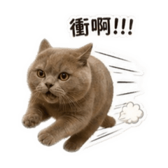 芋泥情緒包