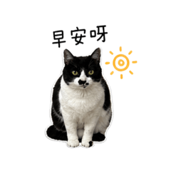 MeiMei Everyday：日常用語
