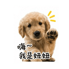 幼小的妞妞