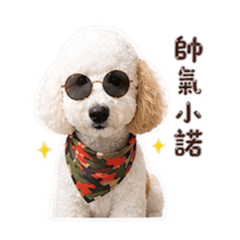 Nori小寶
