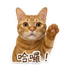 木木-日常用語篇