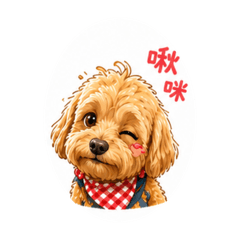 貴賓狗陳小Bo