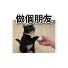 哭比／捲耳小貓咪の日常①