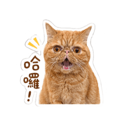 摳比日常vol.1