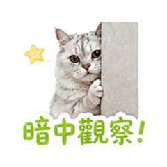 達咩日常