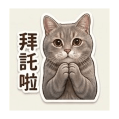 我是MiGi喵～
