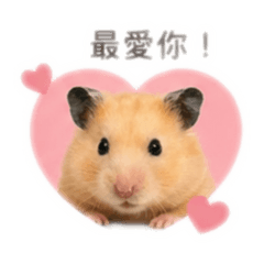 鼠來寶很有禮貌( ˶ ̇ᵕ ̇˶)