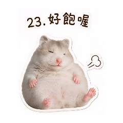 糰糰可愛日常
