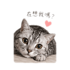 宗介來了
