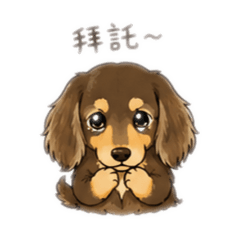 腸寶箱COFFEE