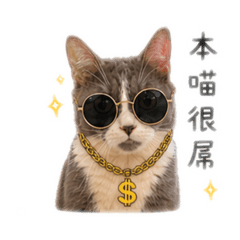 毛屆二哈  春吉