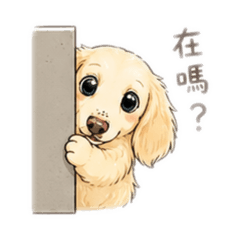 腸寶箱NENE