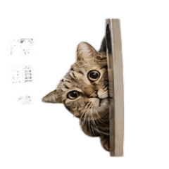 饅頭公公來啦！