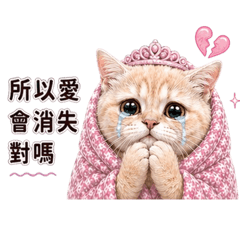 本公主很難搞｜我沒有情勒