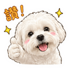 瑪爾濟斯恰恰