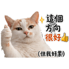 不要傳給你的主管系列-有些話只有Dulin懂。