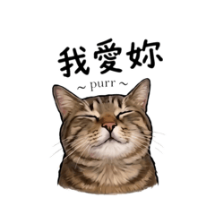 Johnson cat 2
