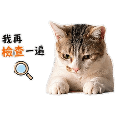 可以傳給主管系列1-有些認命，Dulin懂。