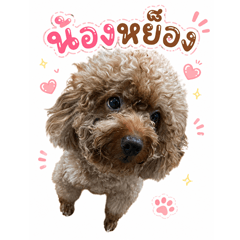 Nong Yong is Happy!