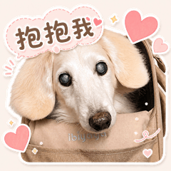 臘腸狗錢錢-生活用語1