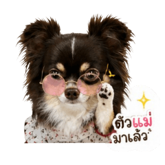 Chaitow001